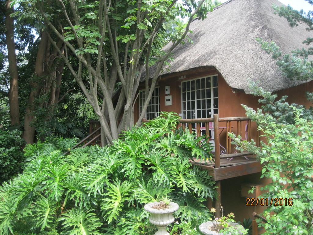 Treetops & Treats Guest House بريتوريا المظهر الخارجي الصورة