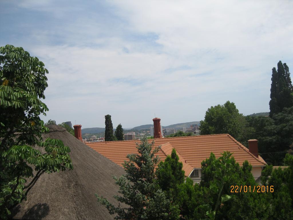Treetops & Treats Guest House بريتوريا المظهر الخارجي الصورة