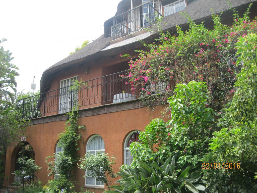 Treetops & Treats Guest House بريتوريا المظهر الخارجي الصورة