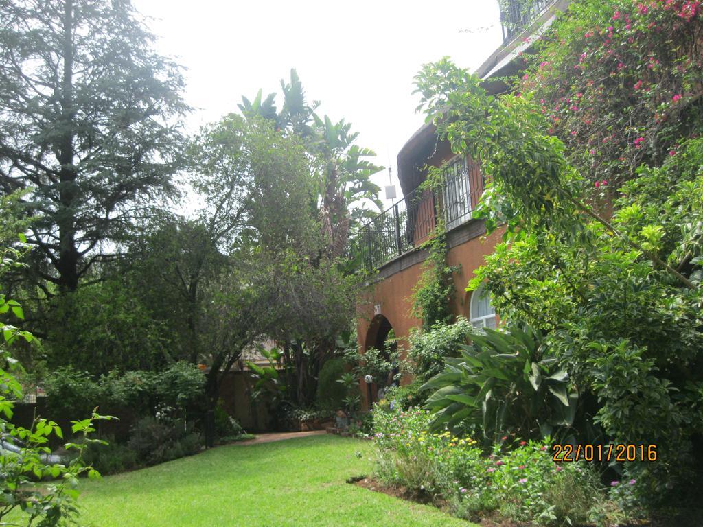 Treetops & Treats Guest House بريتوريا المظهر الخارجي الصورة
