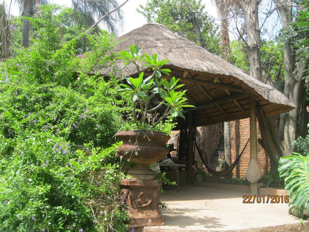 Treetops & Treats Guest House بريتوريا المظهر الخارجي الصورة