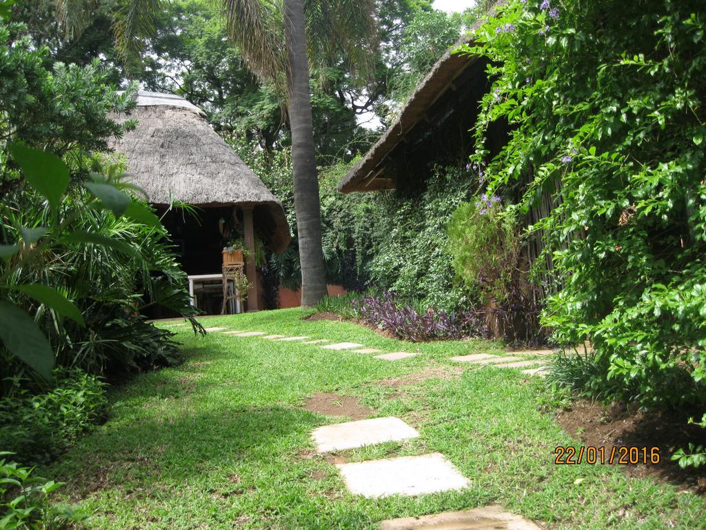 Treetops & Treats Guest House بريتوريا المظهر الخارجي الصورة