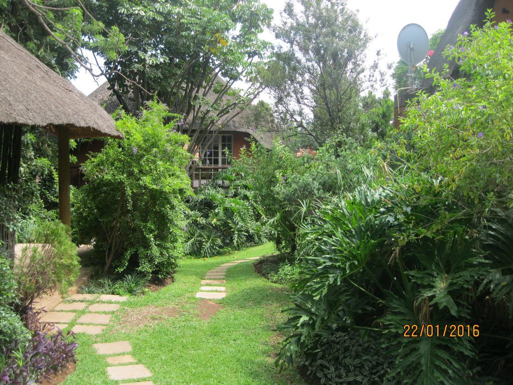 Treetops & Treats Guest House بريتوريا المظهر الخارجي الصورة