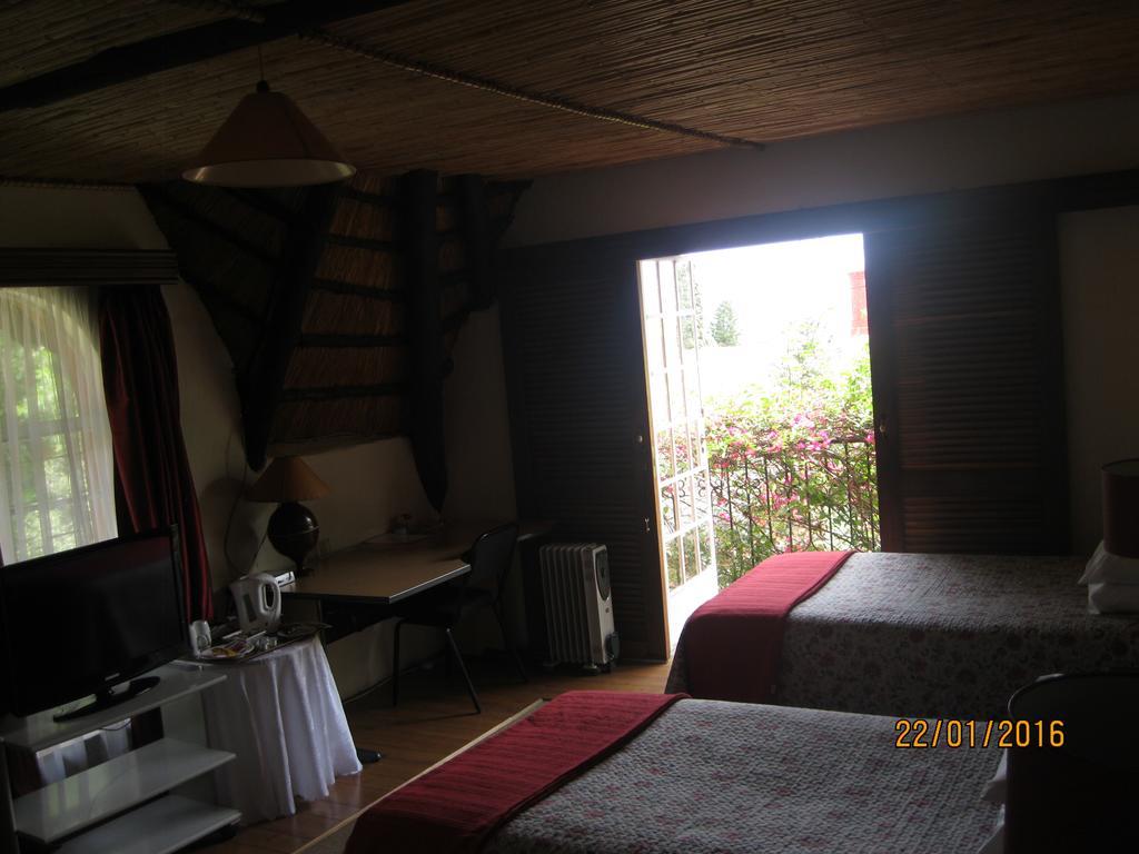 Treetops & Treats Guest House بريتوريا المظهر الخارجي الصورة