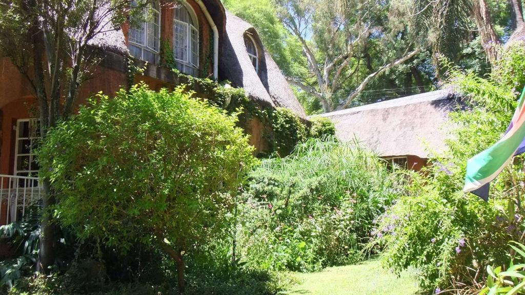 Treetops & Treats Guest House بريتوريا المظهر الخارجي الصورة