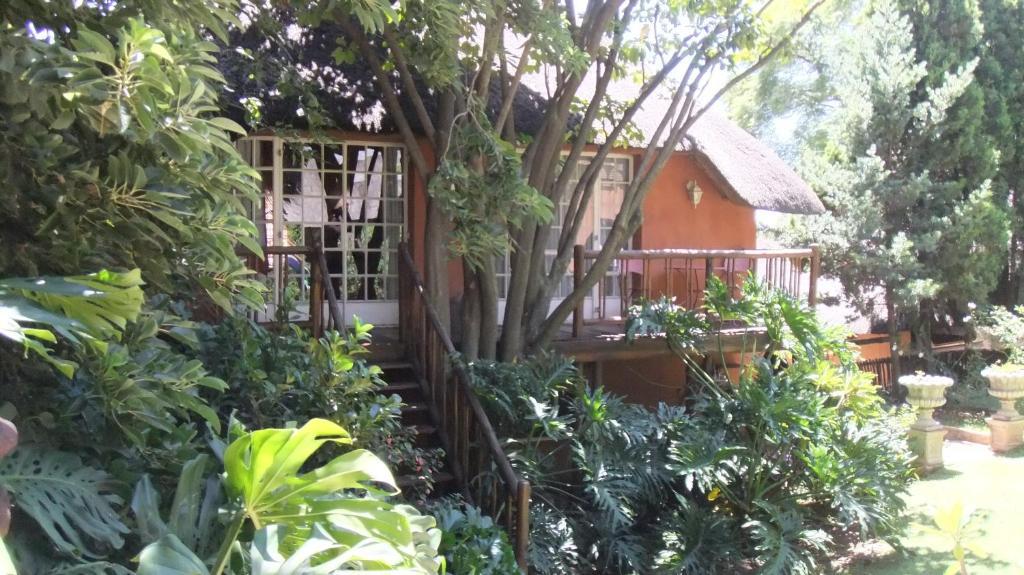 Treetops & Treats Guest House بريتوريا المظهر الخارجي الصورة