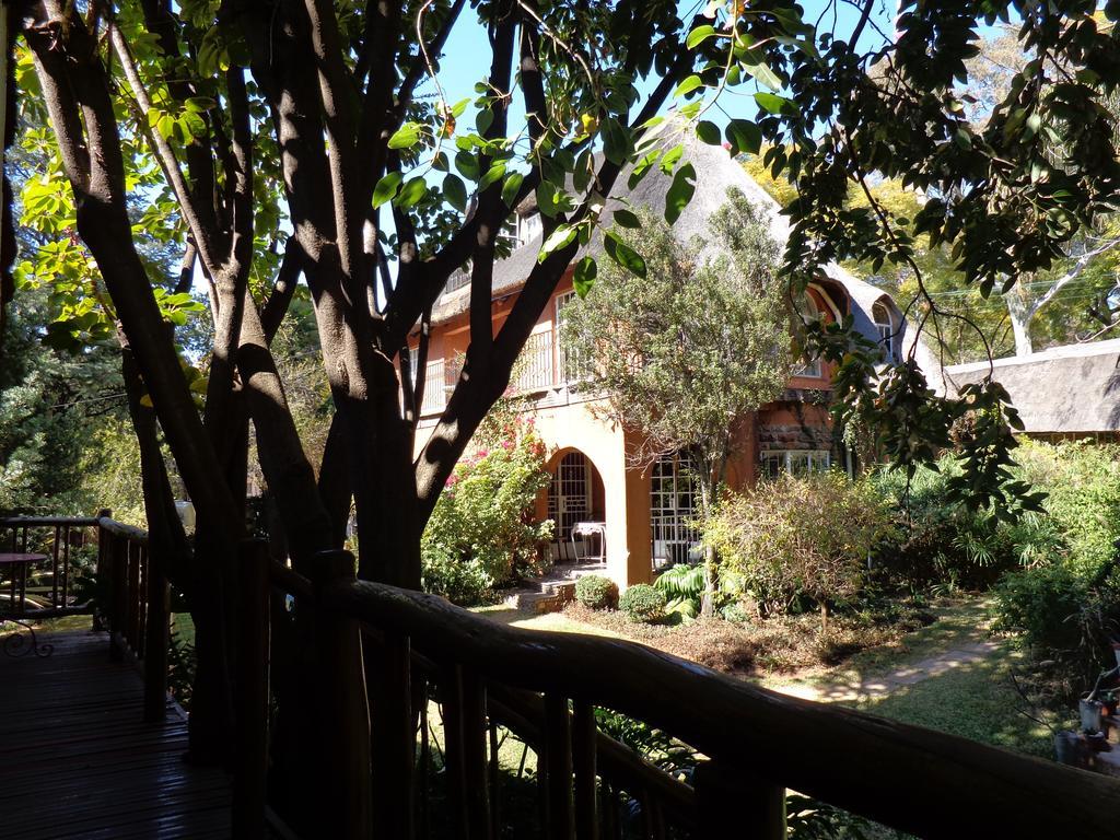 Treetops & Treats Guest House بريتوريا المظهر الخارجي الصورة