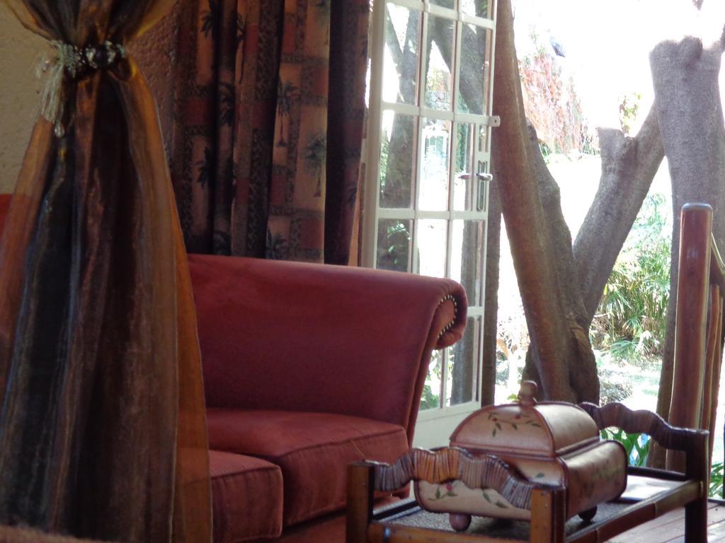 Treetops & Treats Guest House بريتوريا المظهر الخارجي الصورة