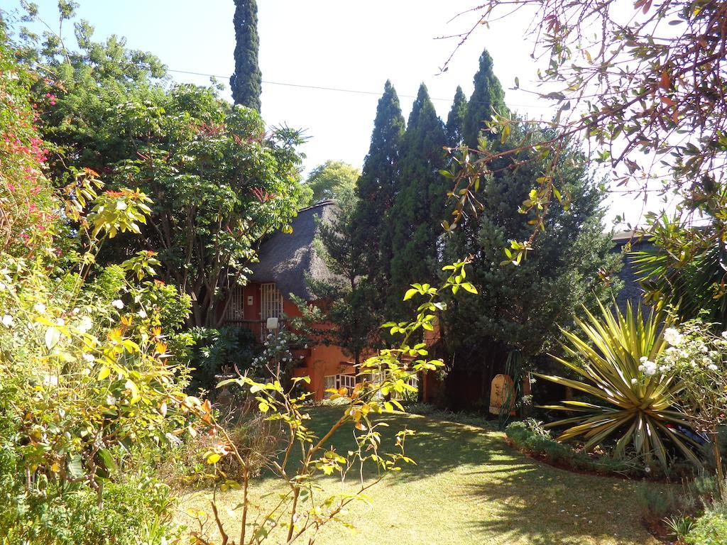 Treetops & Treats Guest House بريتوريا المظهر الخارجي الصورة