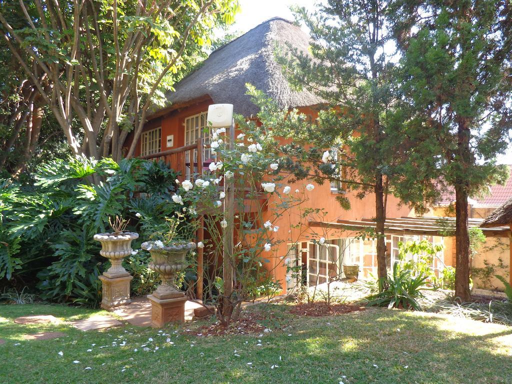 Treetops & Treats Guest House بريتوريا المظهر الخارجي الصورة