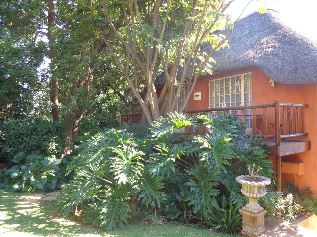 Treetops & Treats Guest House بريتوريا المظهر الخارجي الصورة