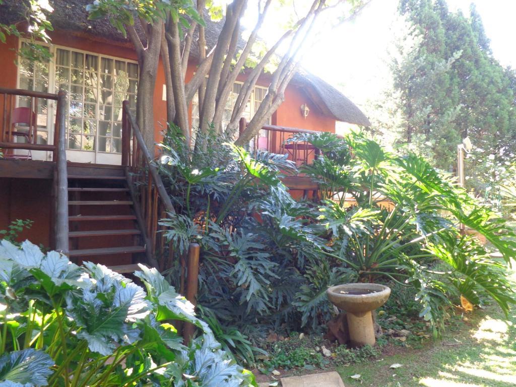 Treetops & Treats Guest House بريتوريا المظهر الخارجي الصورة